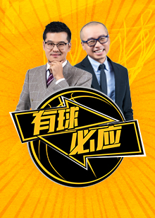 萨拉赫利用